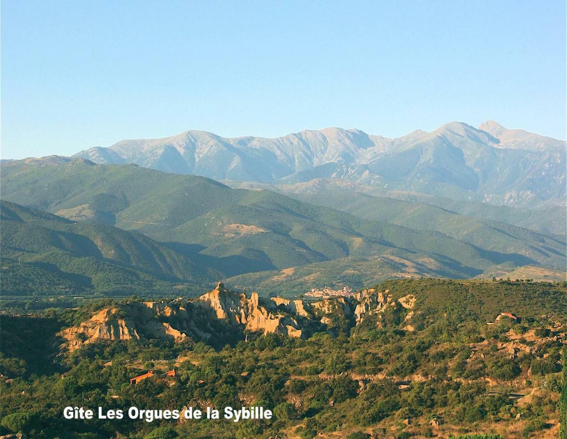 Gite Des Orgues De La Sybille Agave Canigou Exterior photo